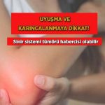 uyusma-ve-karincalanmaya-dikkat-hudut-sistemi-tumoru-habercisi-olabilir-FMJRzEMl.jpg