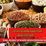 uzun-hayatin-anahtari-bakliyatlar-kalp-diyabet-ve-kronik-rahatsizliklardan-koruyor-JL6La8cy.jpg